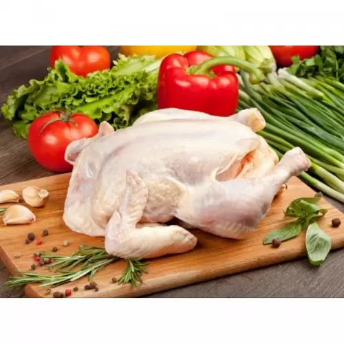 Ayam Broiler Segar